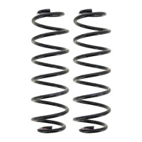 Suspension Spring set rear axle coil spring Ø 109...