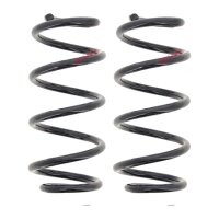 Suspension Spring set rear axle coil spring Ø 119...