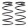 Suspension Spring set rear axle coil spring KYB fits SUZUKI LIANA