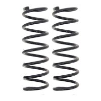 Suspension Spring set rear axle coil spring Ø 110...