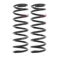 Suspension Spring set rear axle coil spring Ø 111...