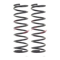 Suspension Spring set rear axle coil spring Ø 103...
