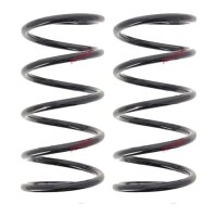Fahrwerksfedern-Set Hinterachse Schraubenfeder Ø...