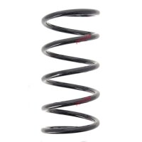 Fahrwerksfedern-Set Hinterachse Schraubenfeder Ø...