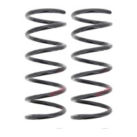 Suspension Spring set rear axle coil spring Ø 123...