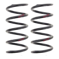 Fahrwerksfedern-Set Hinterachse Schraubenfeder Ø...