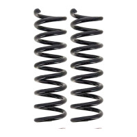 Suspension Spring set rear axle coil spring Ø 102...