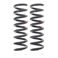 Suspension Spring set rear axle coil spring Ø 100...