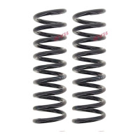 Suspension Spring set rear axle coil spring Ø 100...