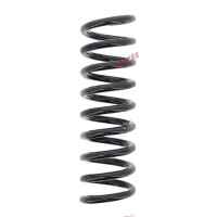 Suspension Spring set rear axle coil spring Ø 100...