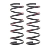 Fahrwerksfedern-Set Hinterachse Schraubenfeder Ø...