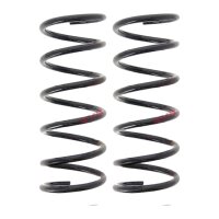 Suspension Spring set rear axle coil spring Ø 133...