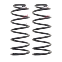 Fahrwerksfedern-Set Hinterachse Schraubenfeder Ø...