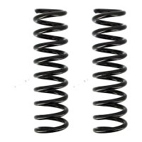 Suspension Spring set rear axle coil spring Ø 100...