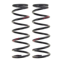 Fahrwerksfedern-Set Hinterachse Schraubenfeder Ø...
