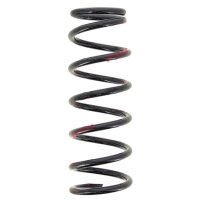 Fahrwerksfedern-Set Hinterachse Schraubenfeder Ø...
