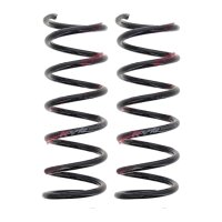 Fahrwerksfedern-Set Hinterachse Schraubenfeder Ø...