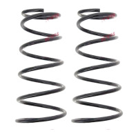 Fahrwerksfedern-Set Hinterachse Schraubenfeder Ø...