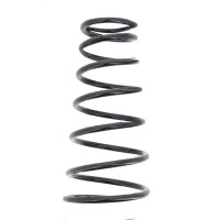 Suspension Spring set rear axle coil spring Ø 172...