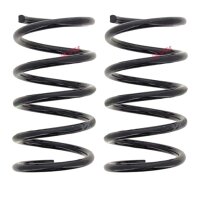 Suspension Spring set rear axle coil spring Ø 160...