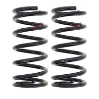 Suspension Spring set rear axle coil spring Ø 131...