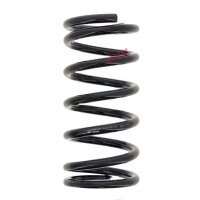 Suspension Spring set rear axle coil spring Ø 131...