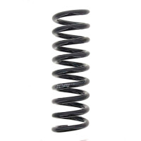 Suspension Spring set rear axle coil spring Ø 101...