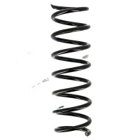 Suspension Spring set rear axle coil spring Ø 110...