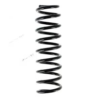 Suspension Spring set rear axle coil spring Ø 99...