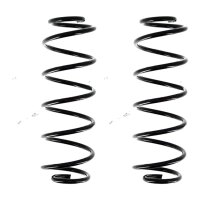 Suspension Spring set rear axle coil spring Ø 111...