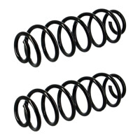Suspension Spring set rear axle coil spring Ø 118...