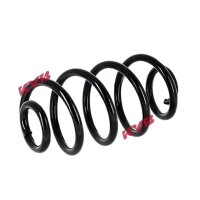 Suspension Spring set rear axle coil spring Ø 130 mm KYB for e.g. VW PASSAT