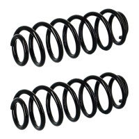 Suspension Spring set rear axle coil spring Ø 114...