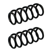 Fahrwerksfedern-Set Hinterachse Schraubenfeder Ø...