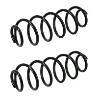 Suspension Spring set rear axle coil spring Ø 109...