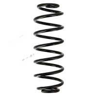 Suspension Spring set rear axle coil spring Ø 109...