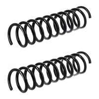 Suspension Spring set rear axle coil spring Ø 110...