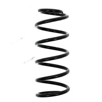 Suspension Spring set rear axle coil spring Ø 108...