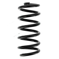Suspension Spring set rear axle coil spring Ø 104...