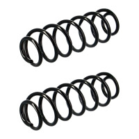 Suspension Spring set rear axle coil spring Ø 112...