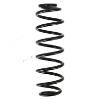 Suspension Spring set rear axle coil spring Ø 107...