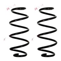 Suspension Spring set rear axle coil spring Ø 114...