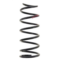 Suspension Spring set front axle coil spring Ø 120...