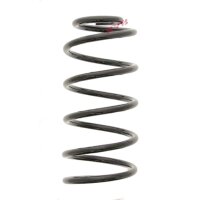 Suspension Spring set front axle coil spring Ø 142...