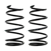 Suspension Spring set front axle coil spring Ø 171...