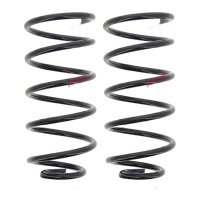 Suspension Spring set front axle coil spring Ø 145...