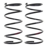 Fahrwerksfedern-Set Vorderachse Schraubenfeder Ø...