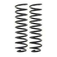 Suspension Spring set rear axle coil spring Ø 105...