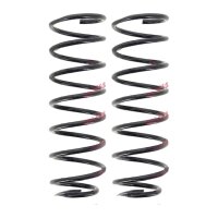 Suspension Spring set rear axle coil spring Ø 110...