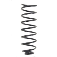 Suspension Spring set rear axle coil spring Ø 109...